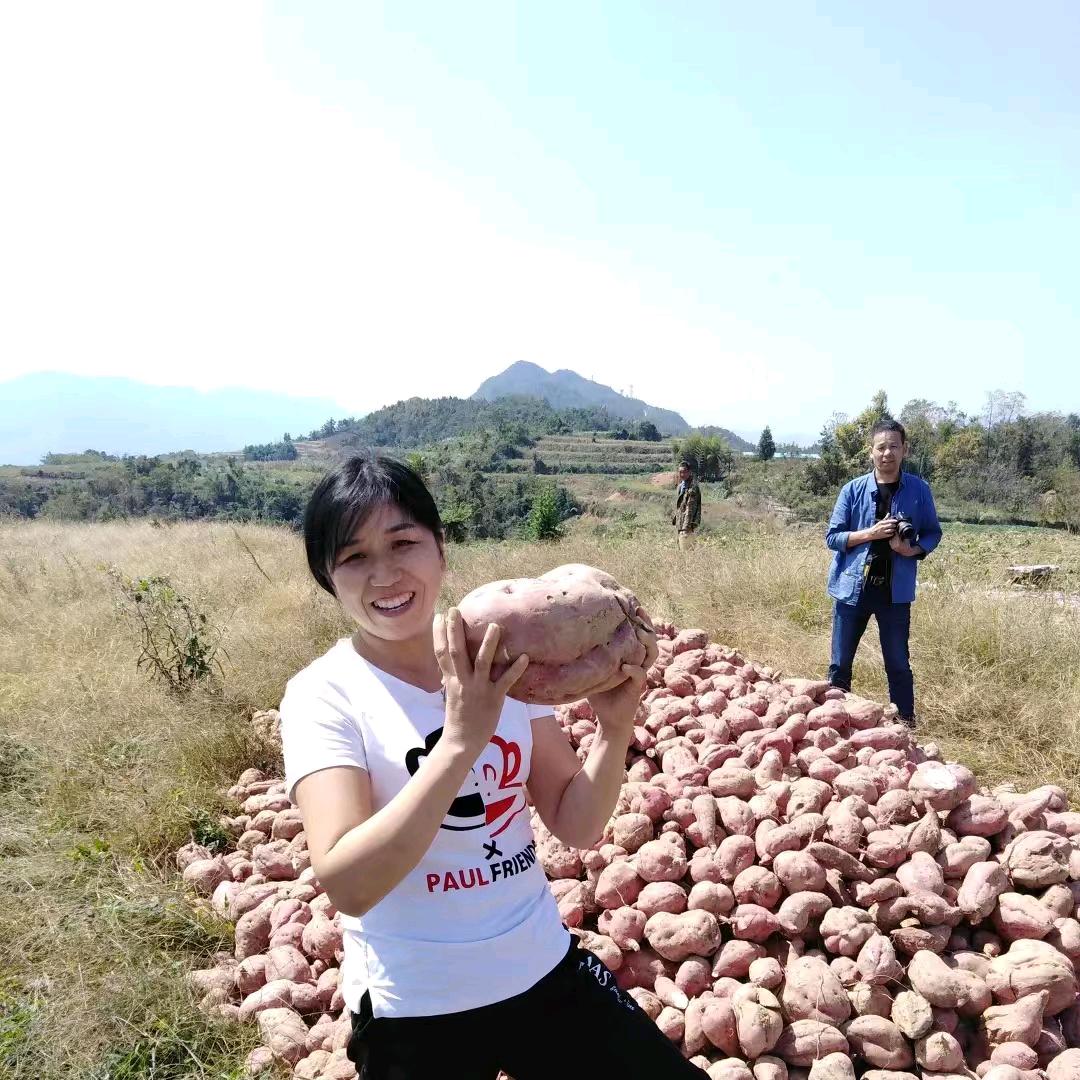 农家红薯粉许姐