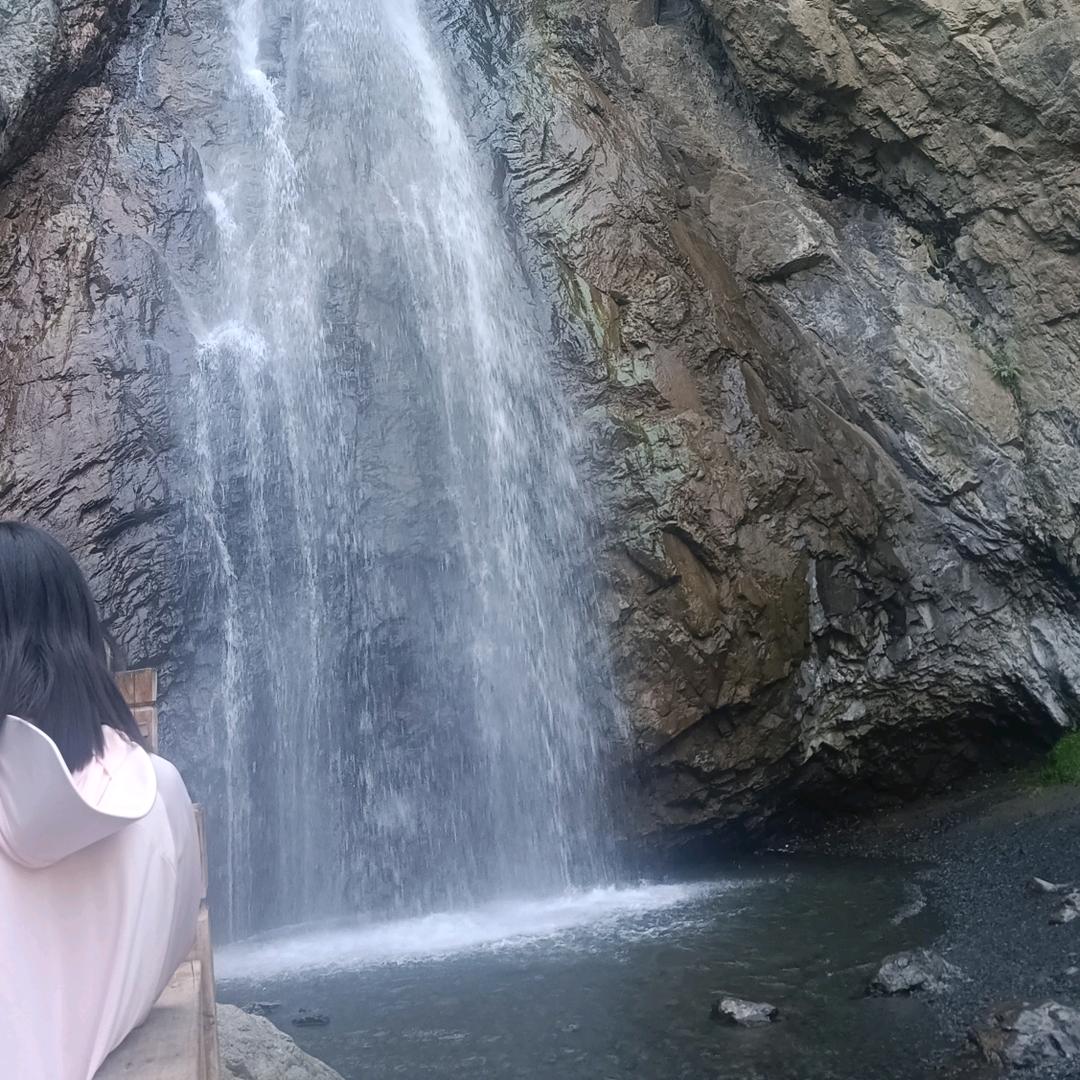 迪力