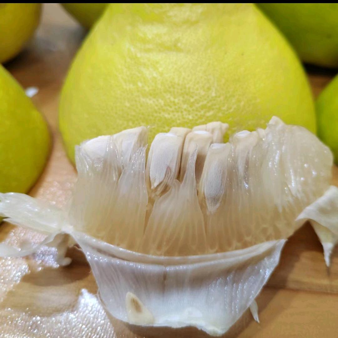 容县水果沙田柚(小覃)