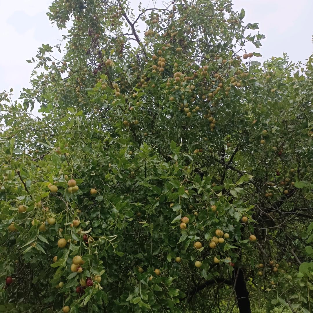 好好努力好好生活