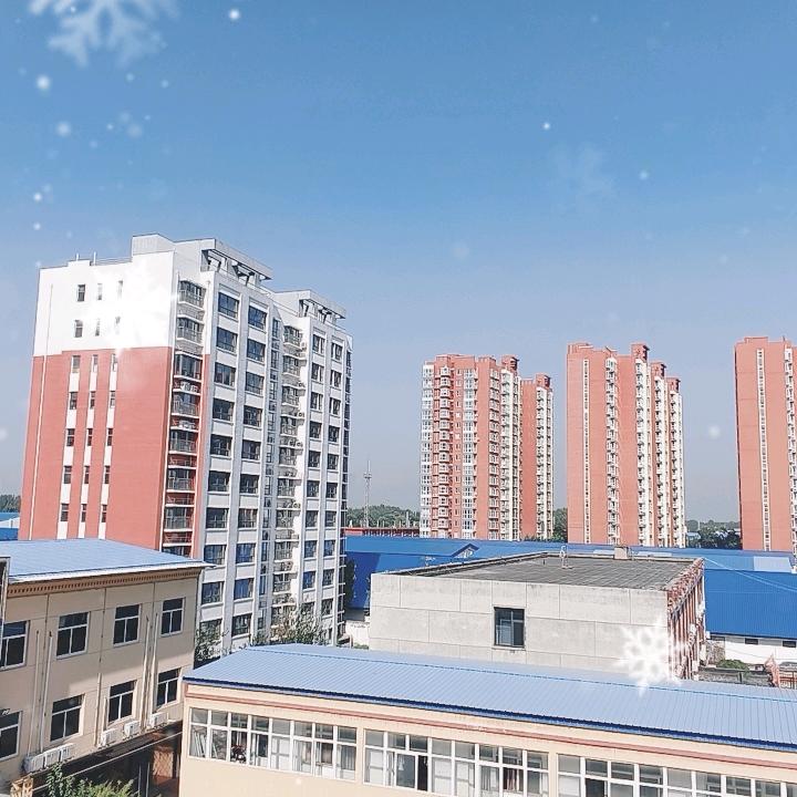 《三位一体》秒杀拳