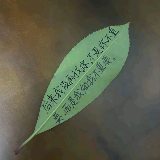 为你而来