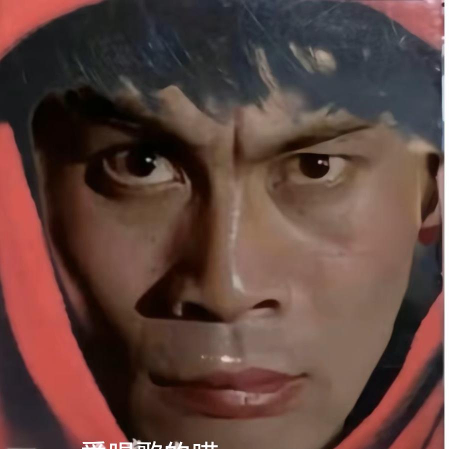 爱唱歌的喵