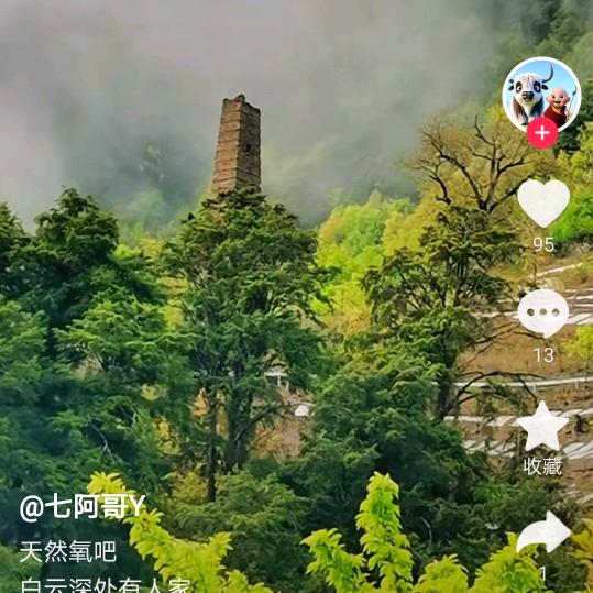 🐉寂寞如影！🐲伴我行。🌲