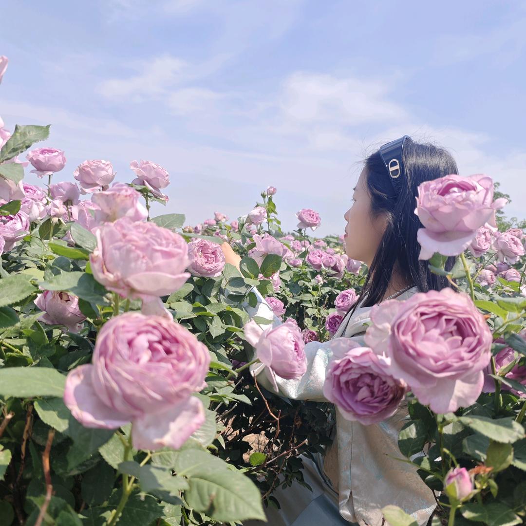 小鱼名叫锦鲤