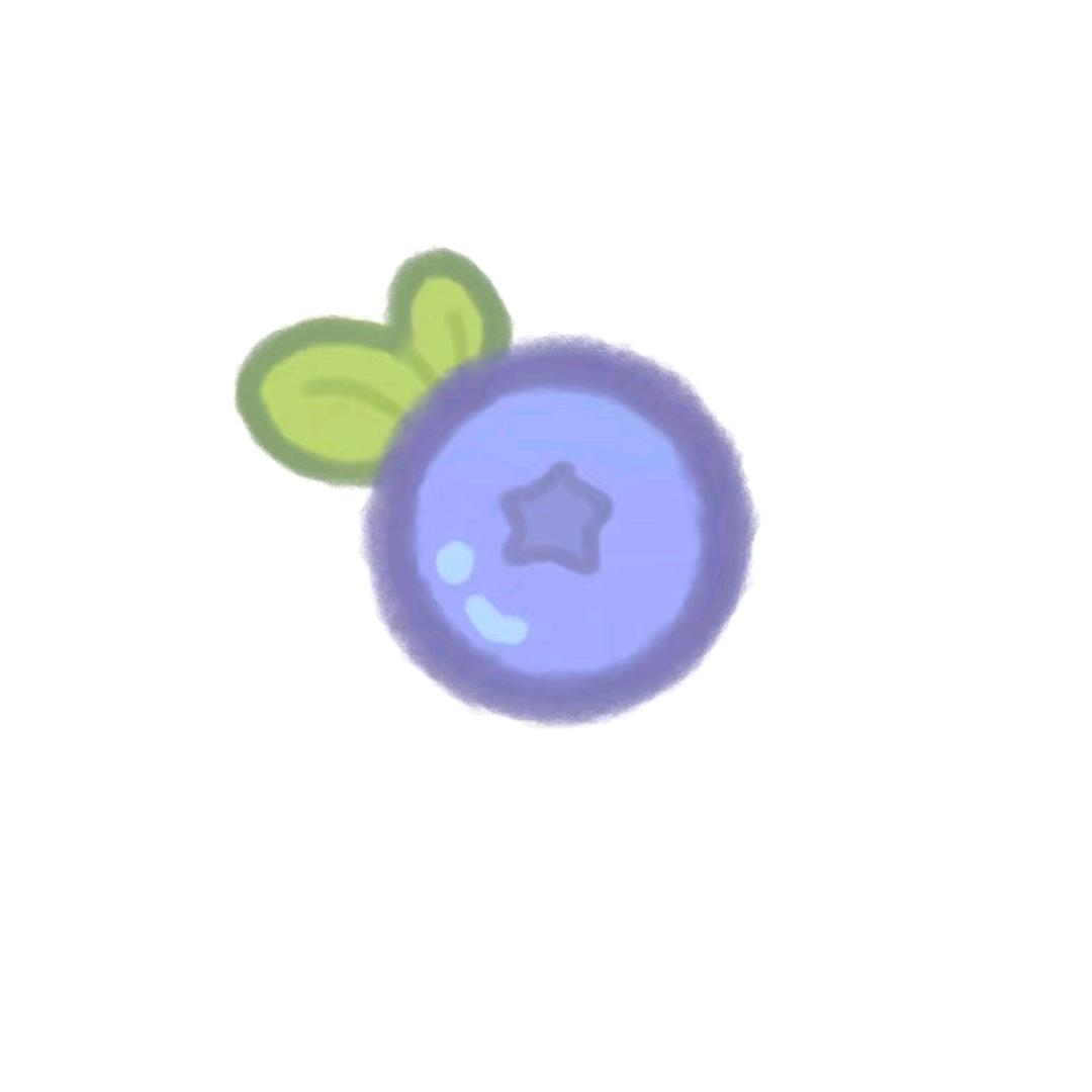 蓝莓🥥