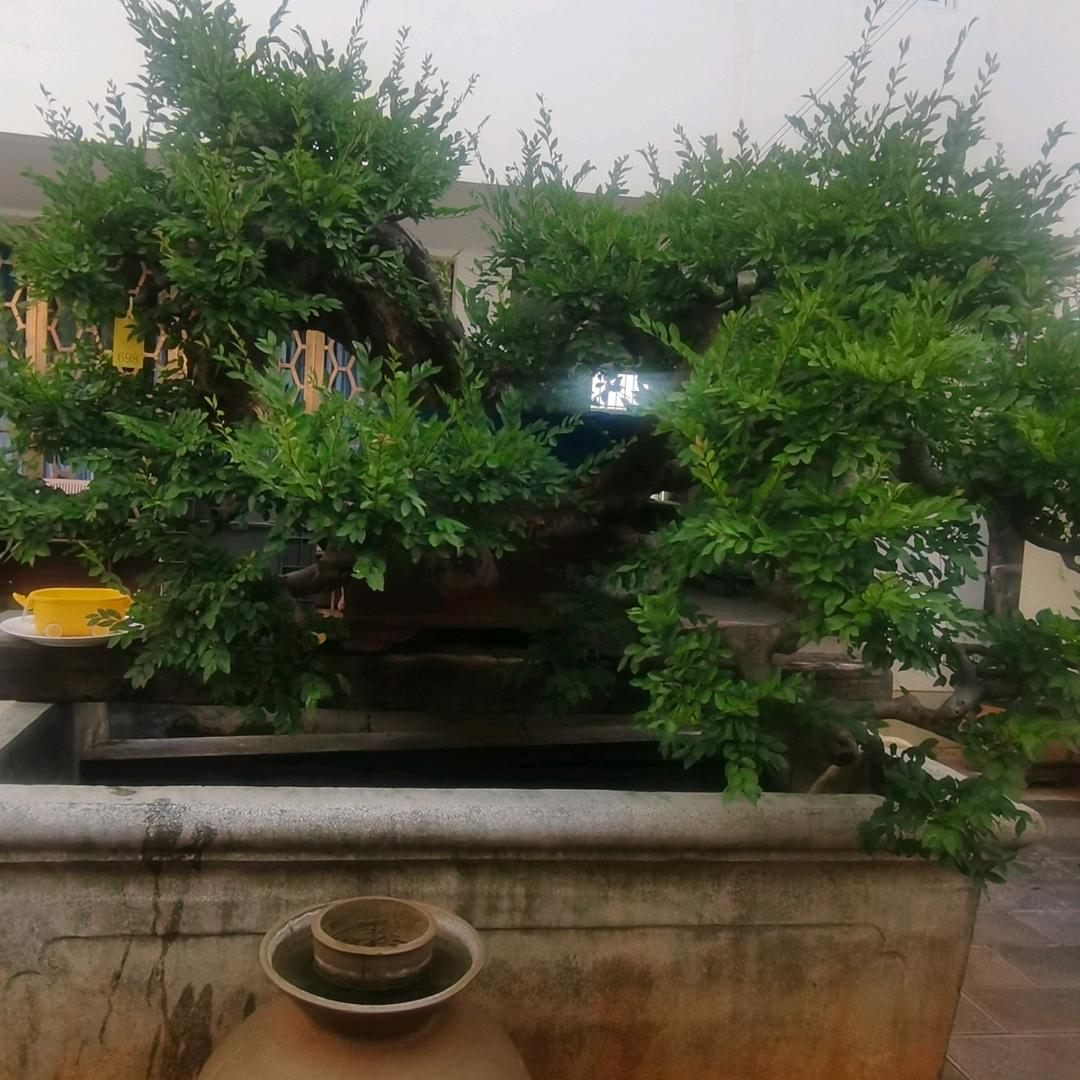 প꯭ᩚ༅碎银💰降万物ꪟꪳ