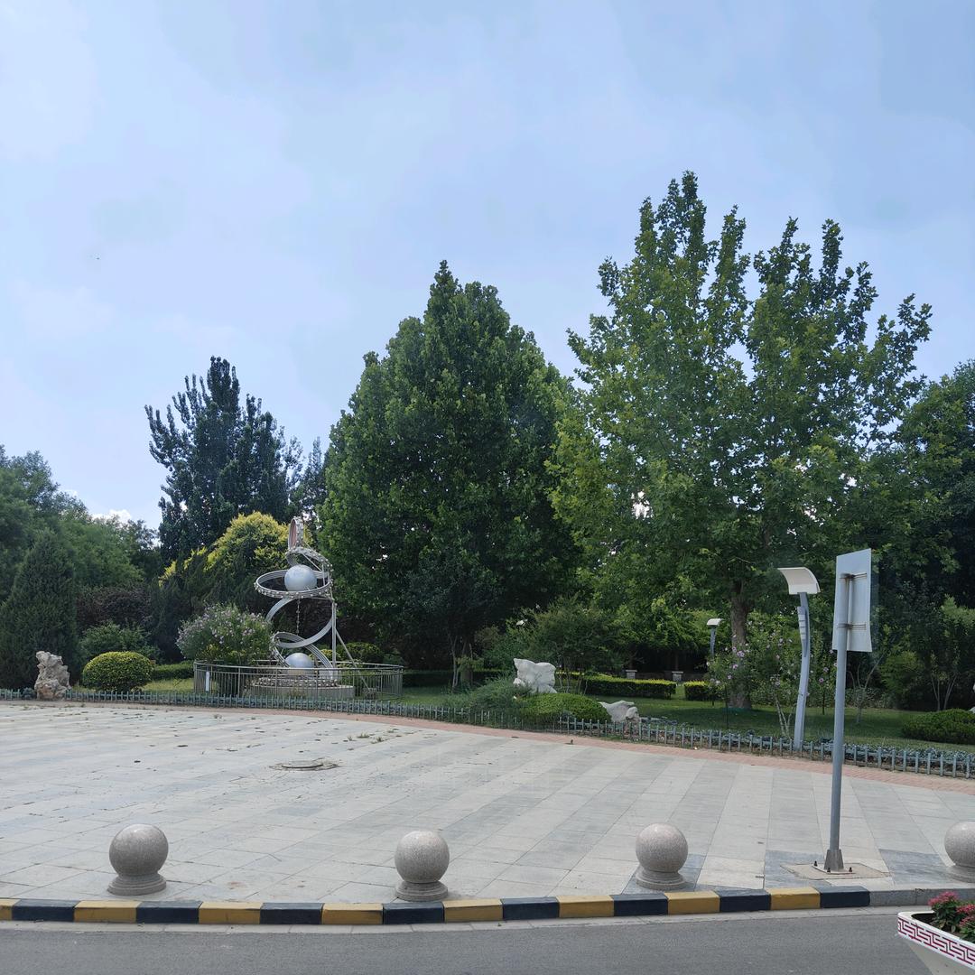 无悔的执着🚗
