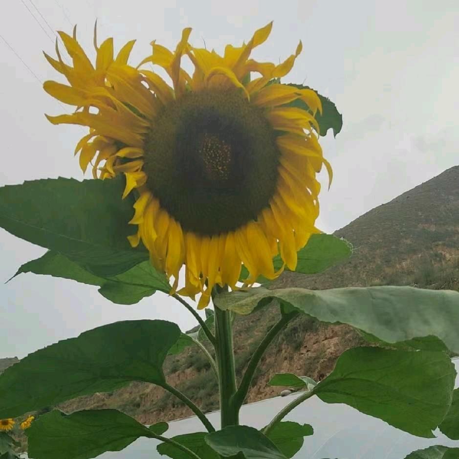 冷暖自知