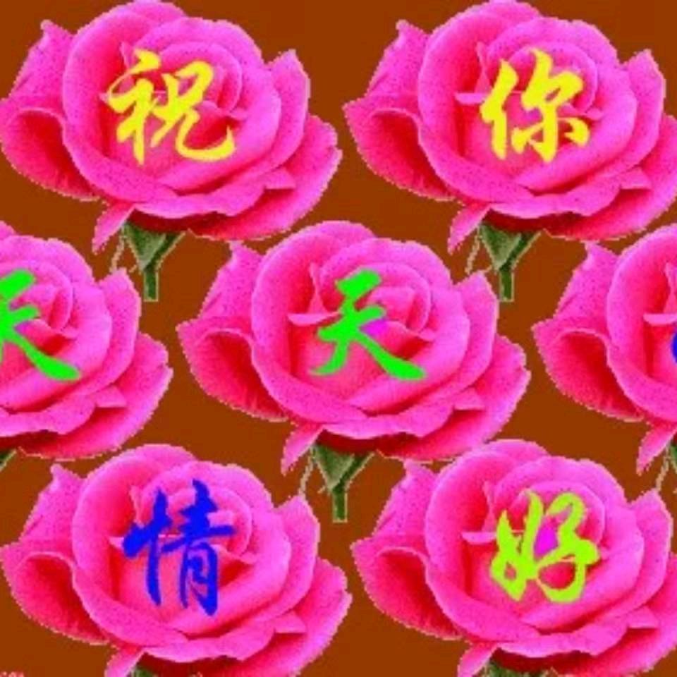 今生有缘