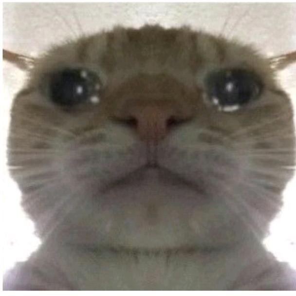 柒七七
