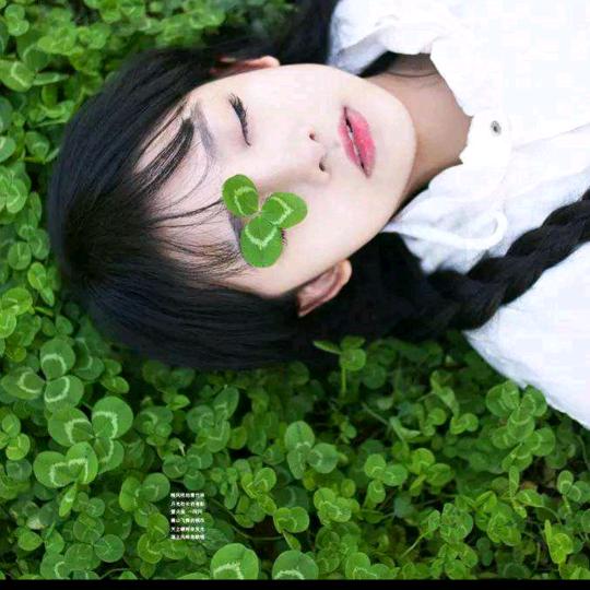 Aurora Wings🍀🍀