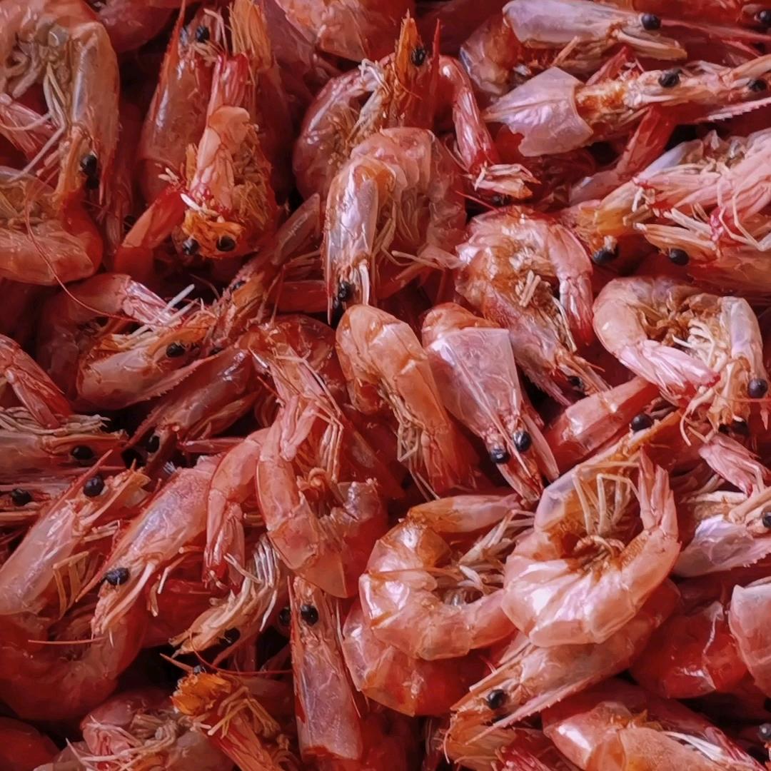 无棣县永峰海产