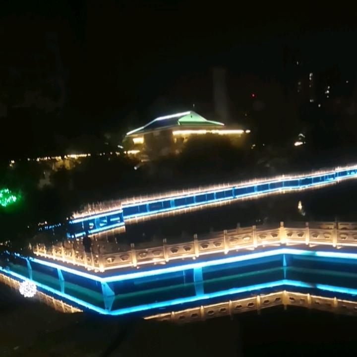 开心老杨