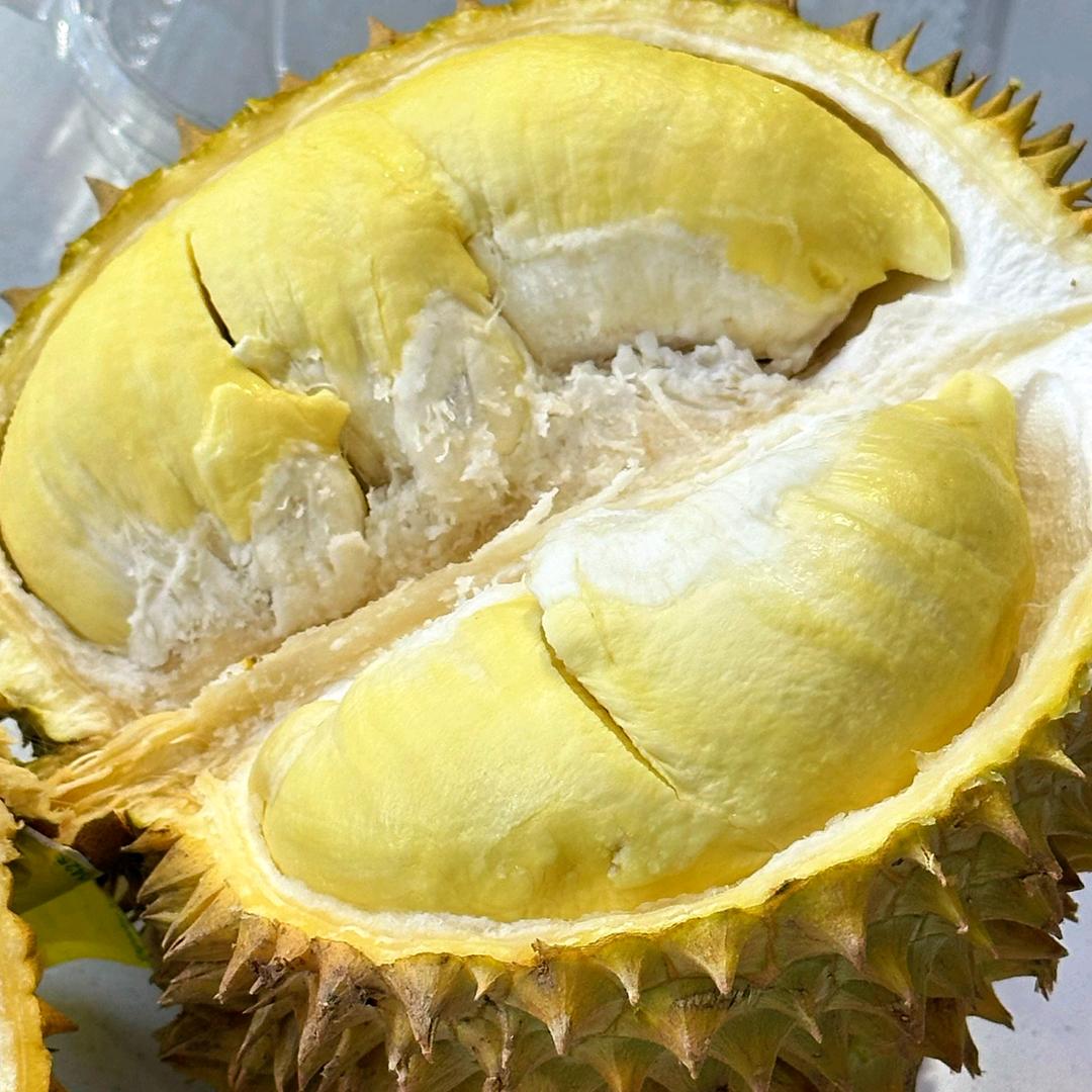 果小萌