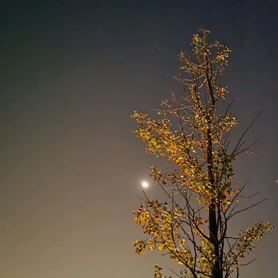 大疆mini4P无人机@老张不炸机