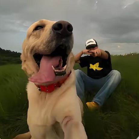 珑的土猎犬