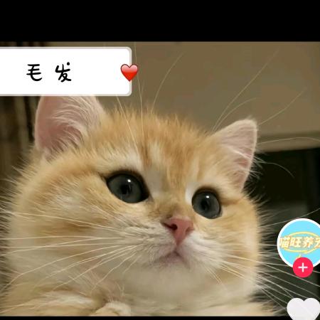 笑笑科技