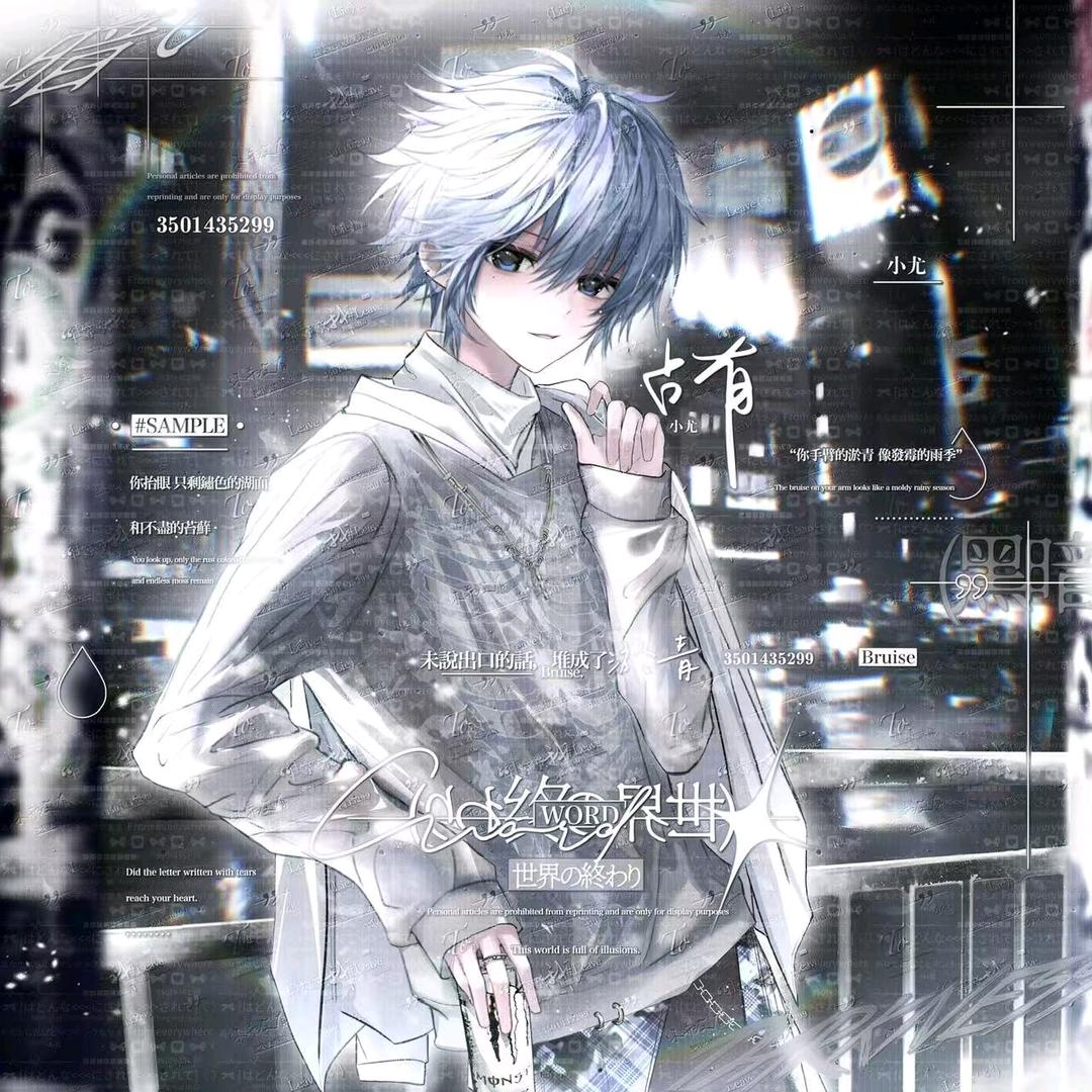 王者荣耀11（百段射手）