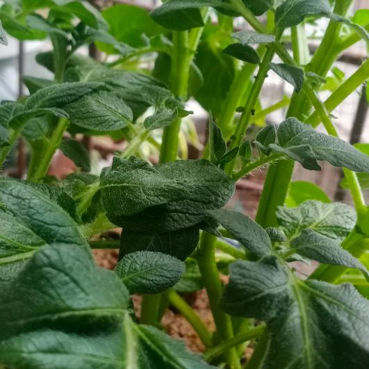 用户7608935897888 生活辛福