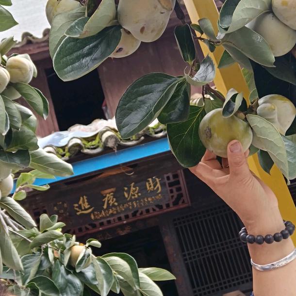 幸福一家