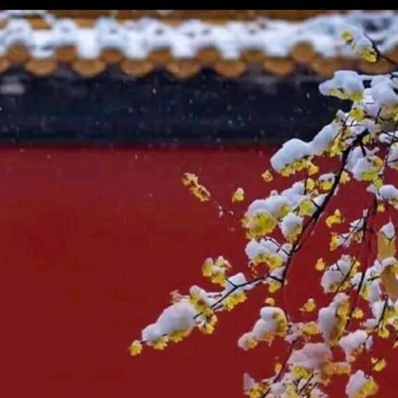 皇城哥