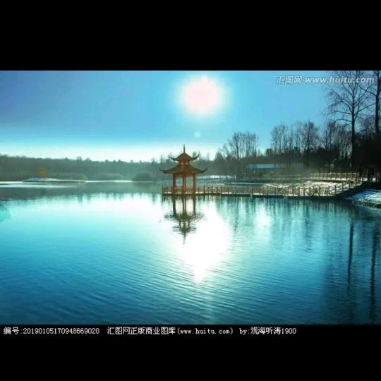 不差钱 宝莲灯 海狮妈妈我想你了 唱歌鸟