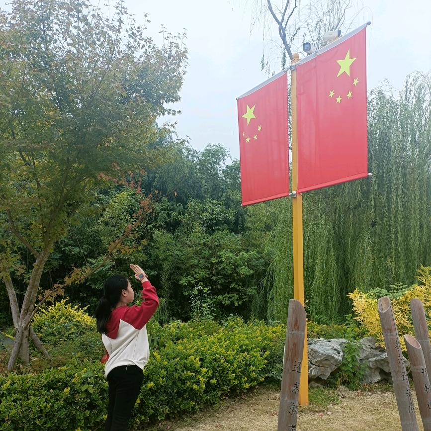 🌿✨光芒🎊✨万张