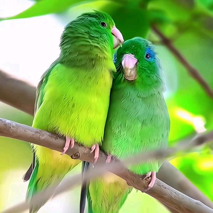 冬季滑冰