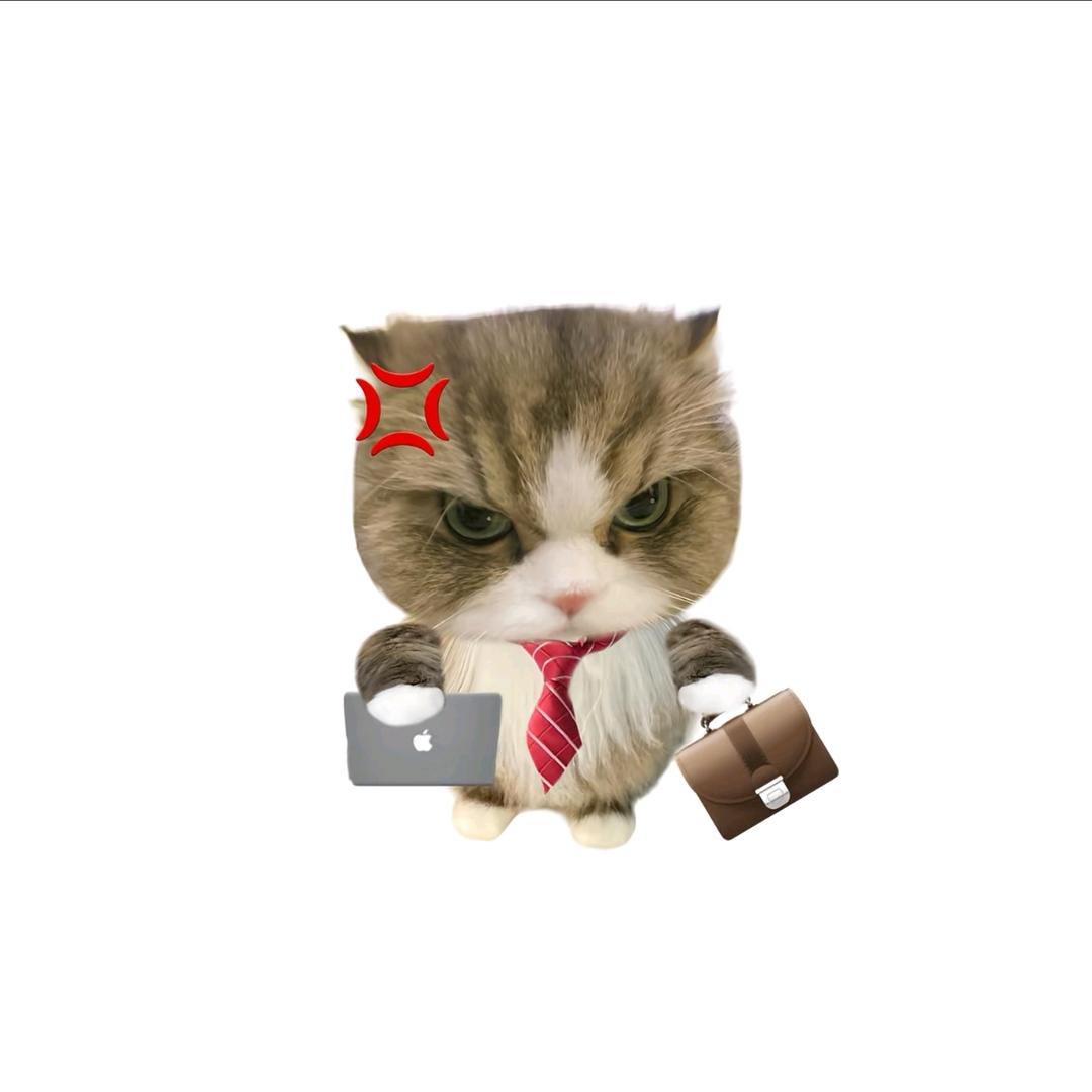滚滚派R方