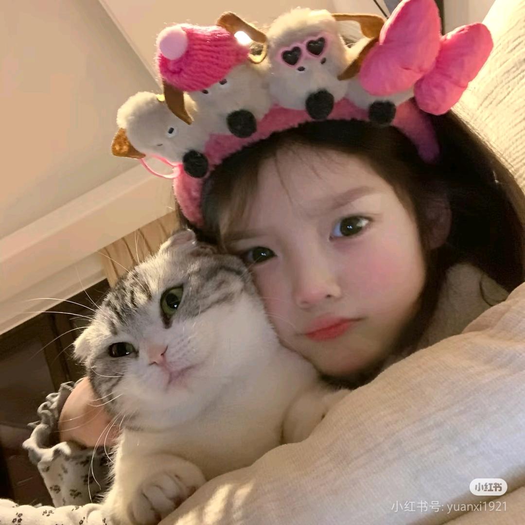 杨小羊