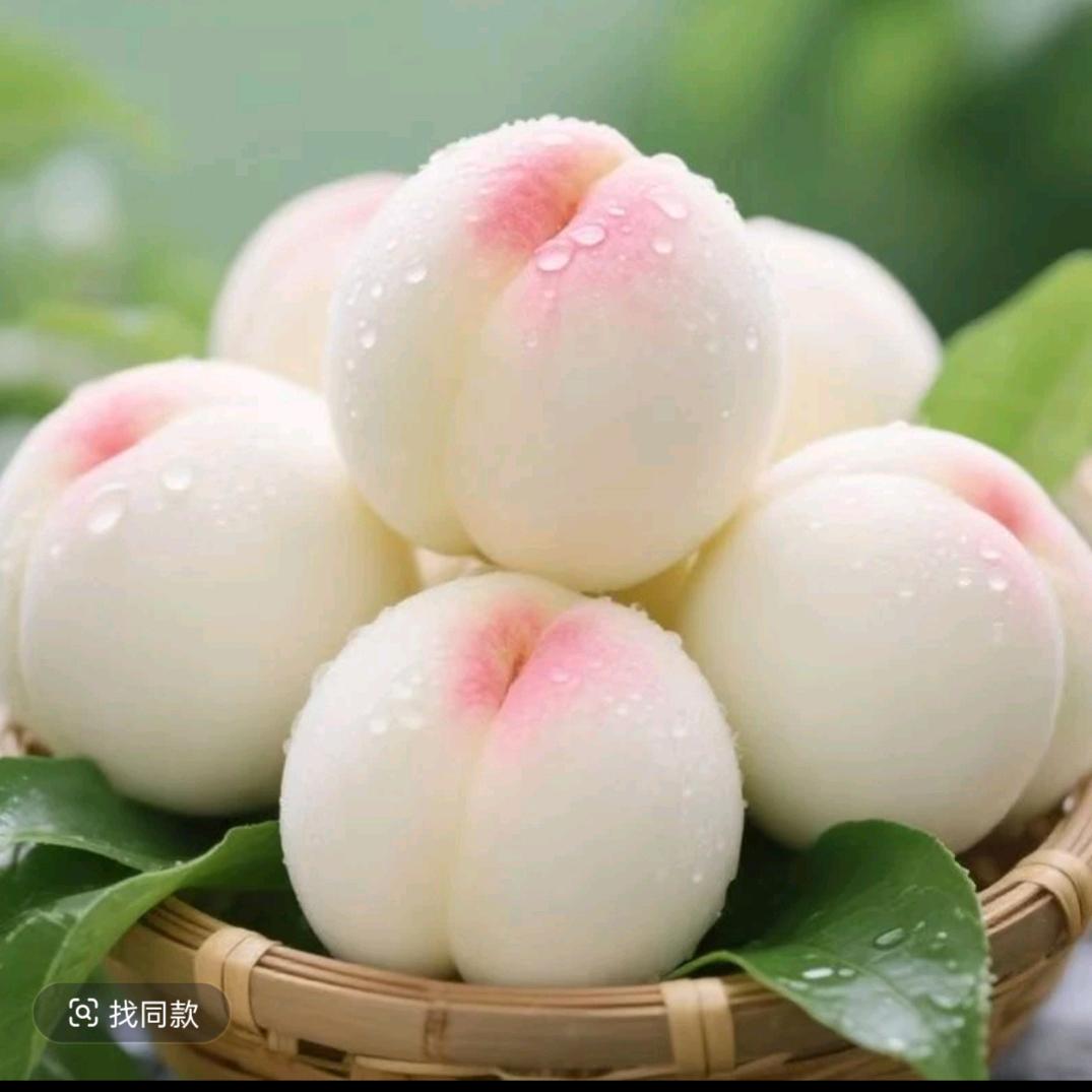 ꧁❦༺༒月下灵狐༒༻❦꧂