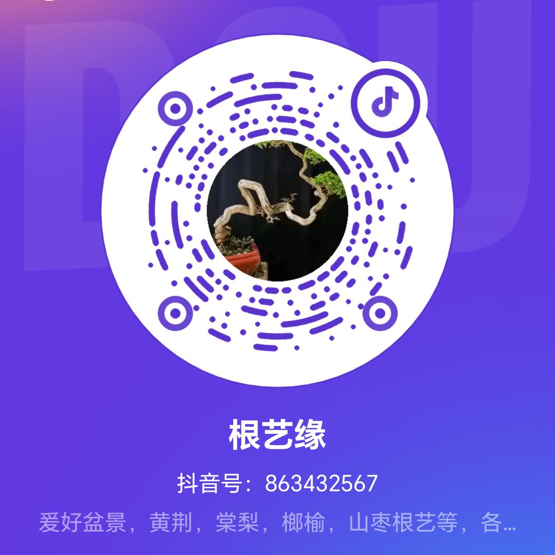 盆景根艺缘