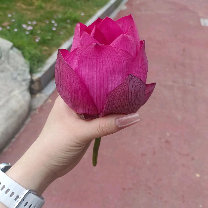 💞ঞ᭄独宠ഒᩚ࿐自己