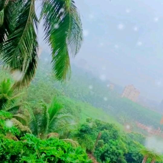 独钓寒江雪