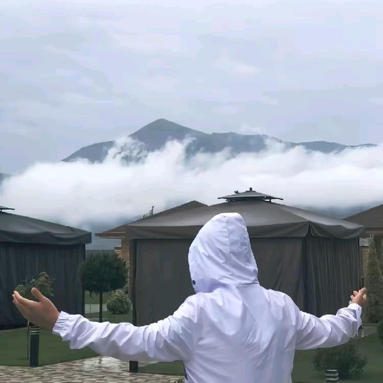 刘青皮哟