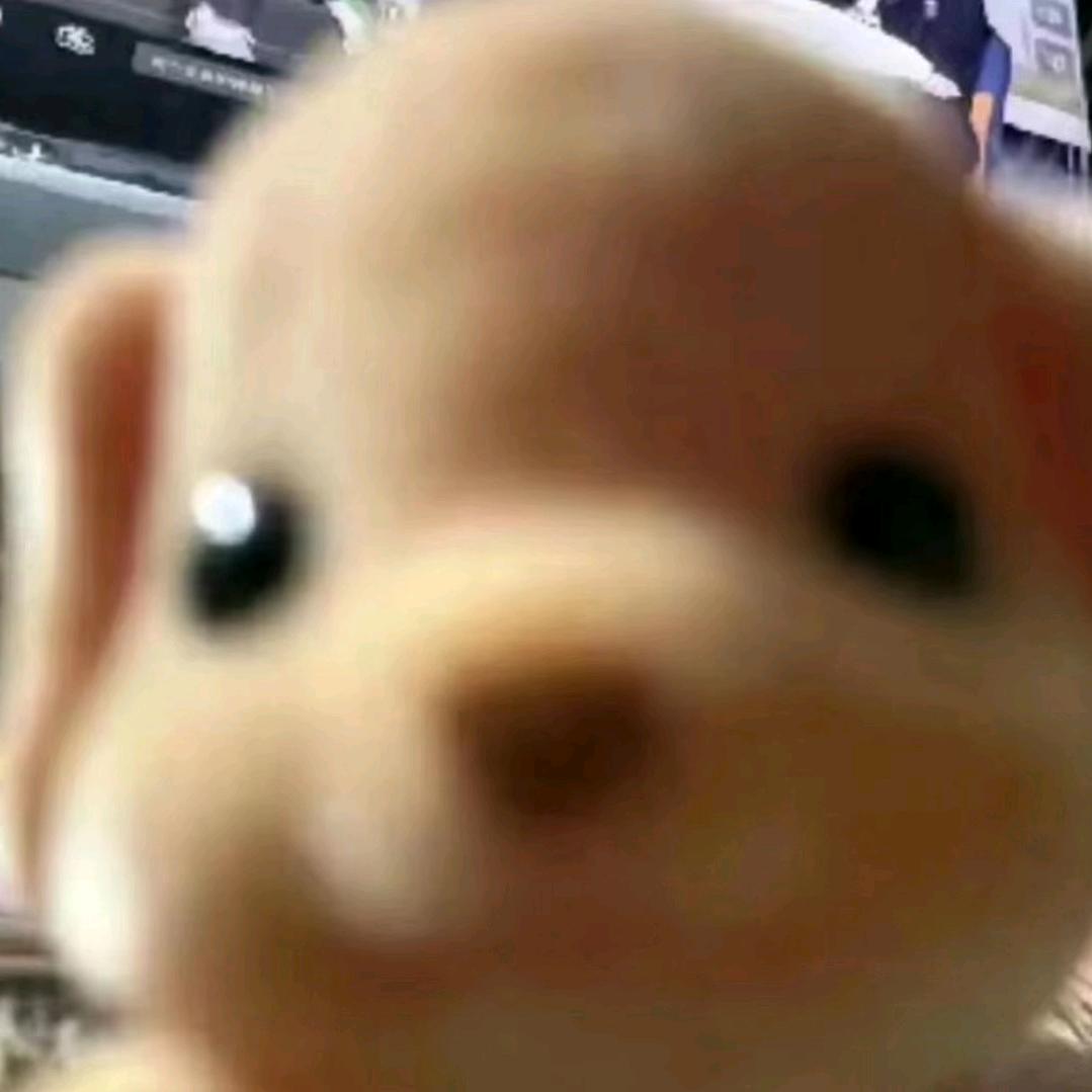清一色彩