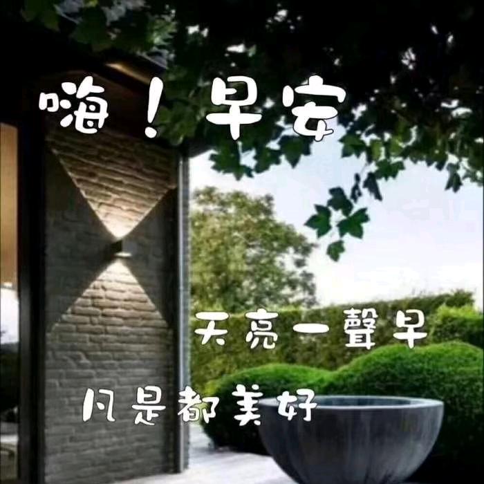 重庆崽儿