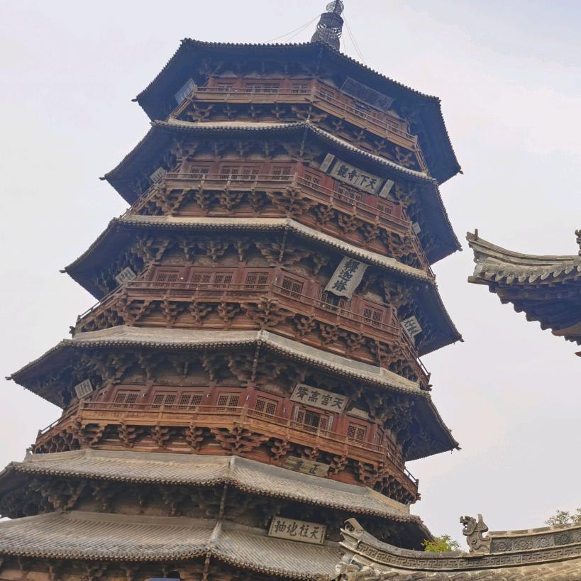 龙🐲哥