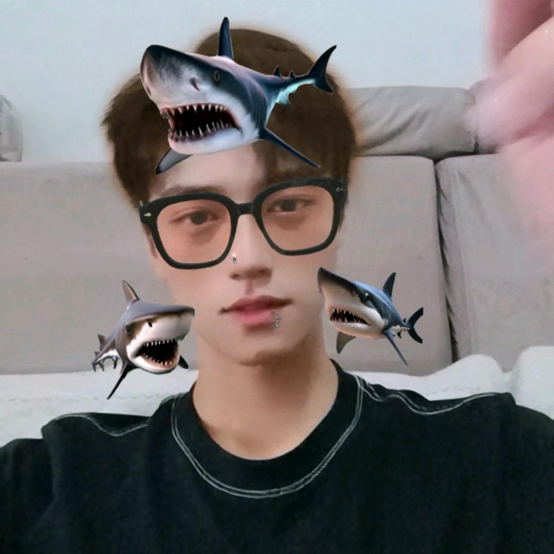 不止太阳会发光