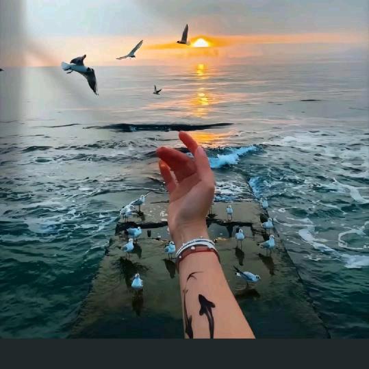 姐就是女王…小小趙