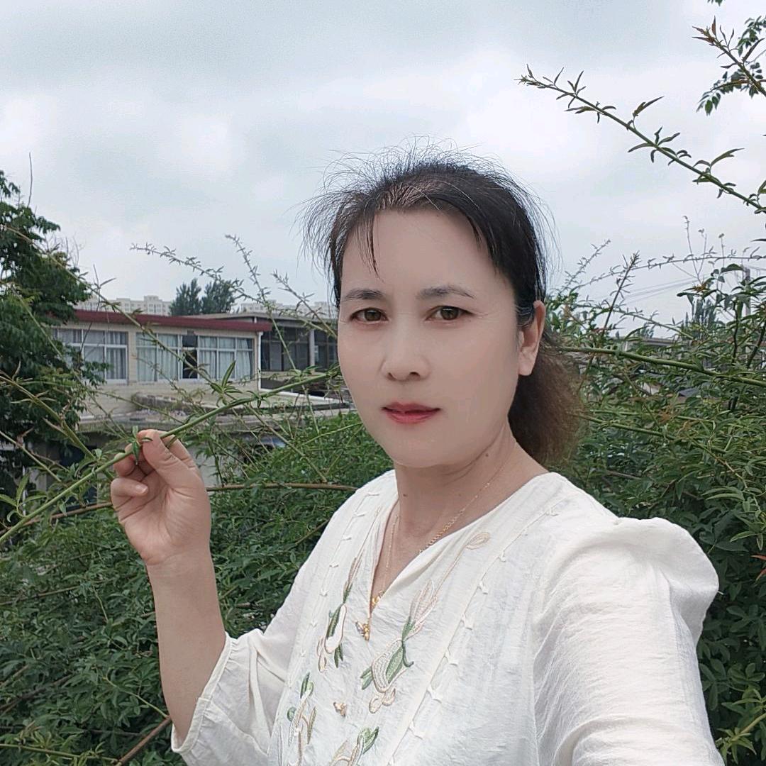 凤栖梧桐🌹