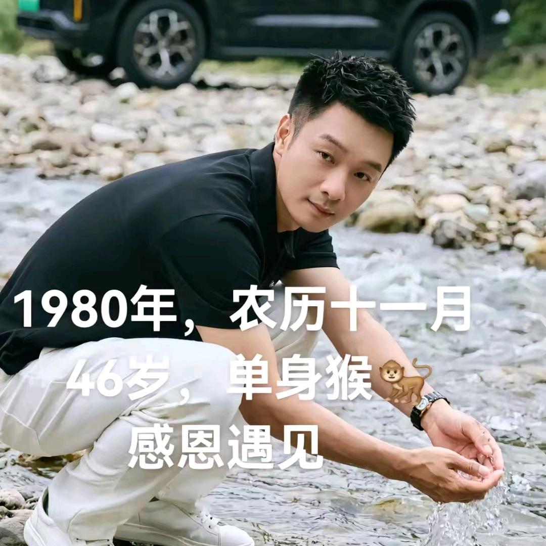 临风不自傲