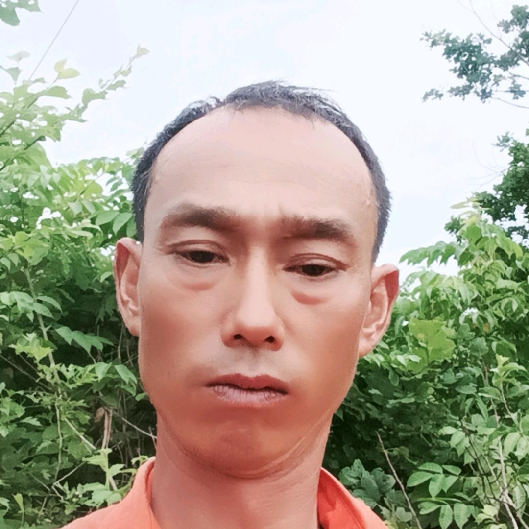 力哥电力