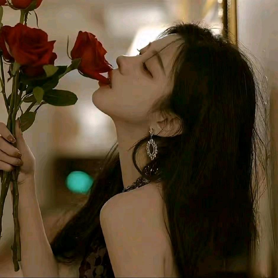 茅薹老婊