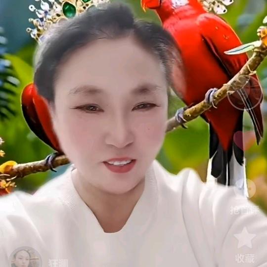 忠杰爱健身运动