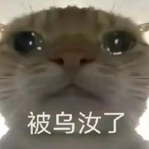 三角洲丶狂少