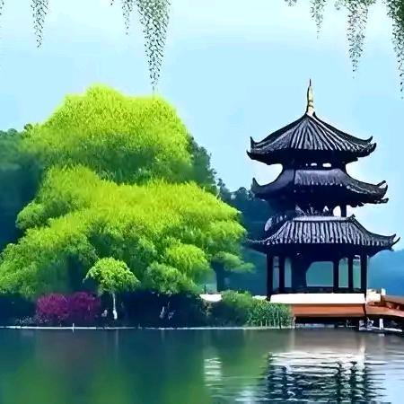 志成