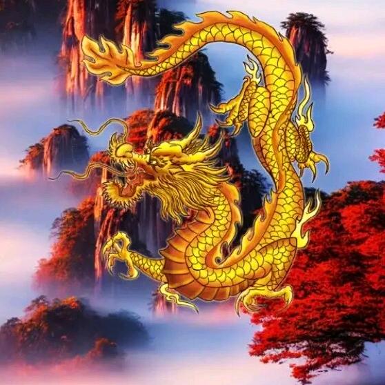 龙泽明秀