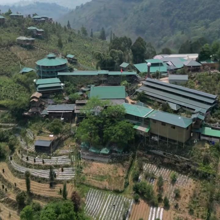 我是往事随风飘扬